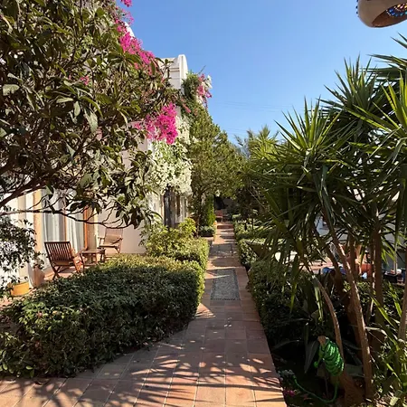 Munahan * Bodrum