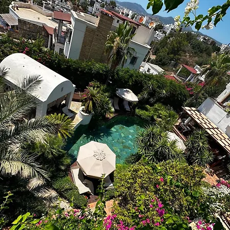 Hotel Munahan